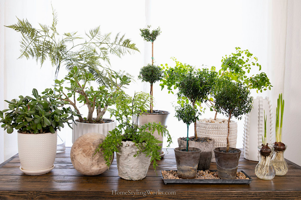 HOW TO bring the garden indoors