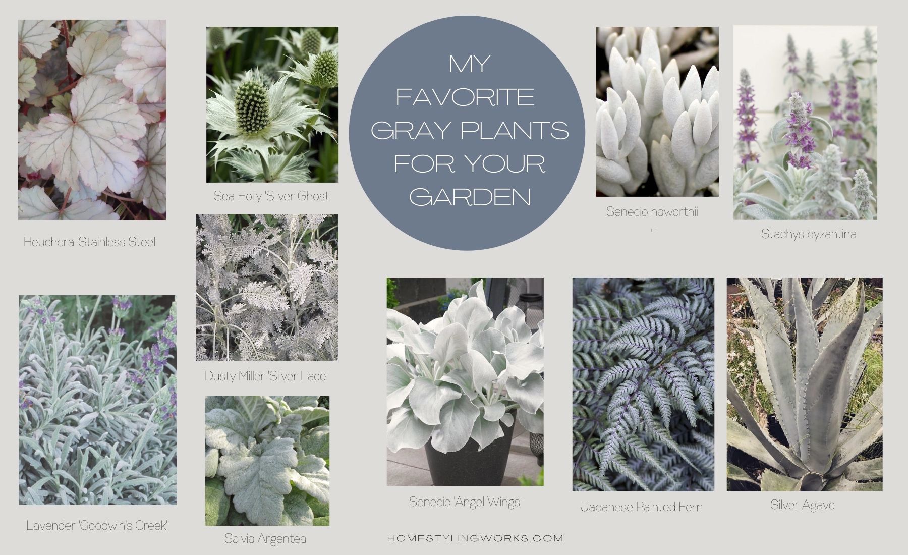 (MORE THAN) FIFTY SHADES OF GRAY IN THE GARDEN