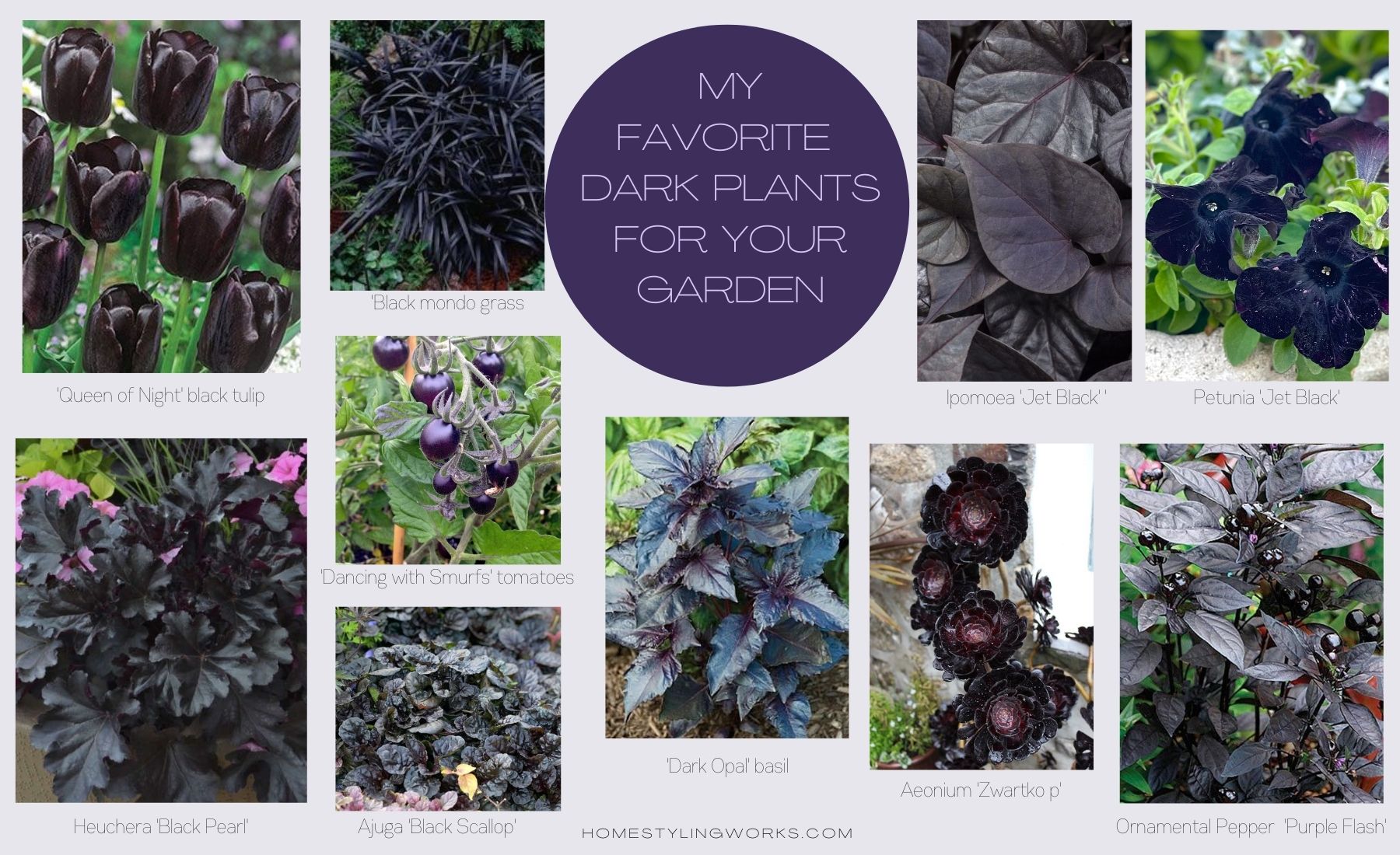 TAKE YOUR GARDEN TO THE DARK SIDE